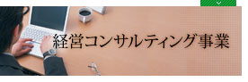 経営コンサルティング事業